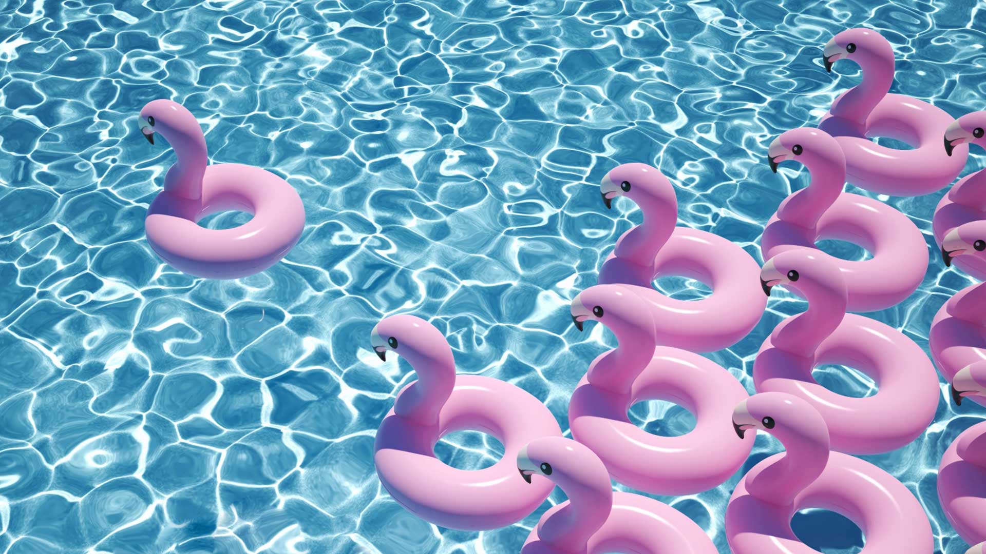 Inflatable creative facilitation flamingos meeting on water